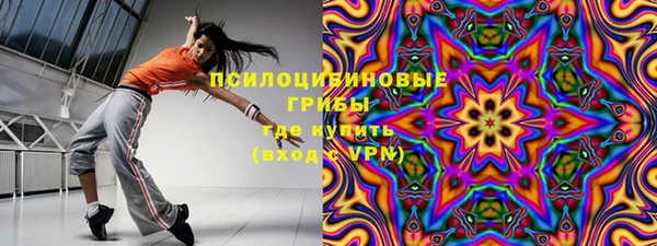 ешки Новозыбков